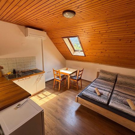 Apartament Hisa Patricija Soča Zewnętrze zdjęcie